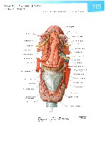 Sobotta Atlas of Human Anatomy  Head,Neck,Upper Limb Volume1 2006, page 122